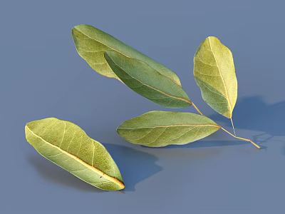 Organic Fresh Green Vegetable Leaves Vibrant Close Up View on Blue Background 3d model