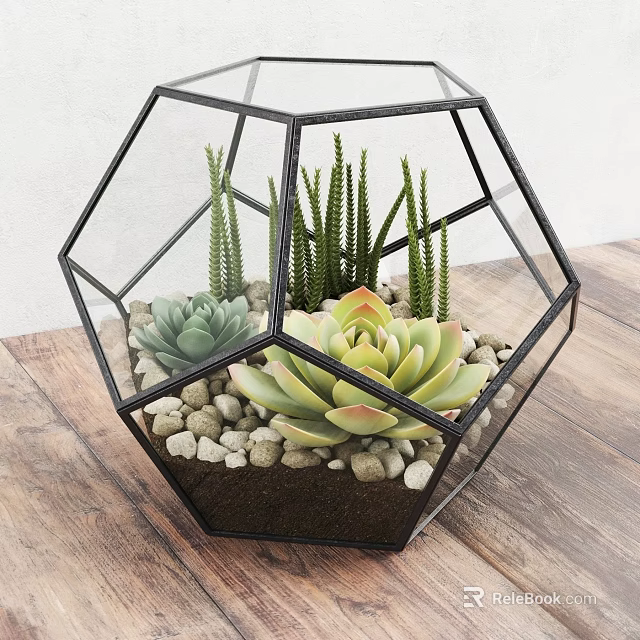 Bonsai Potted Plant In Hexagonal Glass Container With Succulents And Small Pebbles On Wooden Tabletop 3d model 