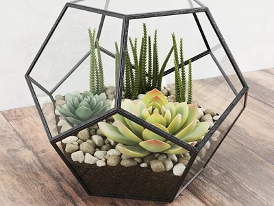 Bonsai Potted Plant In Hexagonal Glass Container With Succulents And Small Pebbles On Wooden Tabletop 3d model