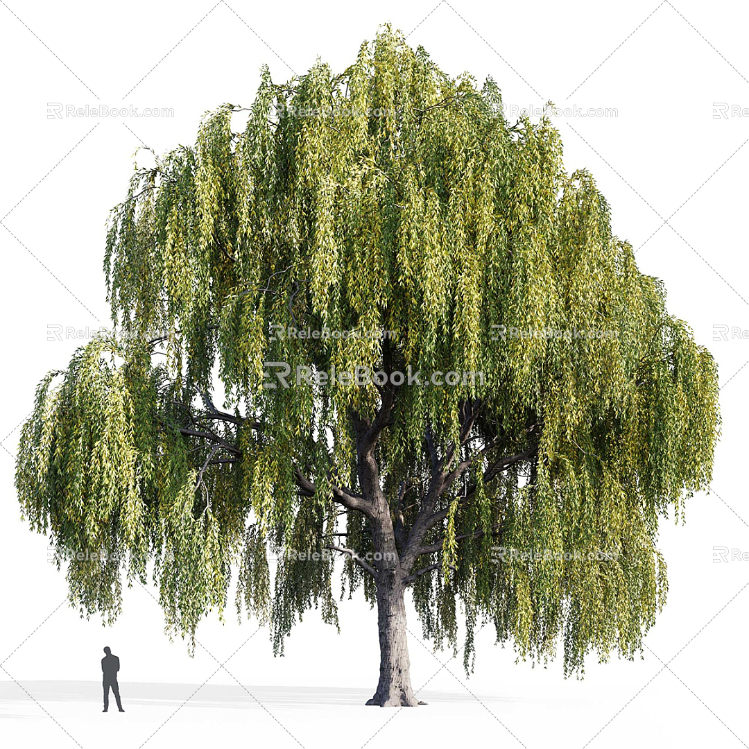 Modern Tree Landscape Tree Trees 3d model