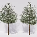 Modern Trees Elemene Trees 3d model