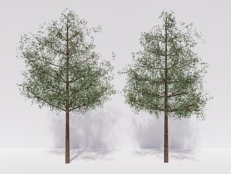 Modern Trees Elemene Trees 3d model