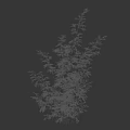 Bamboo Plants With A Woman's Silhouette In Simple Background