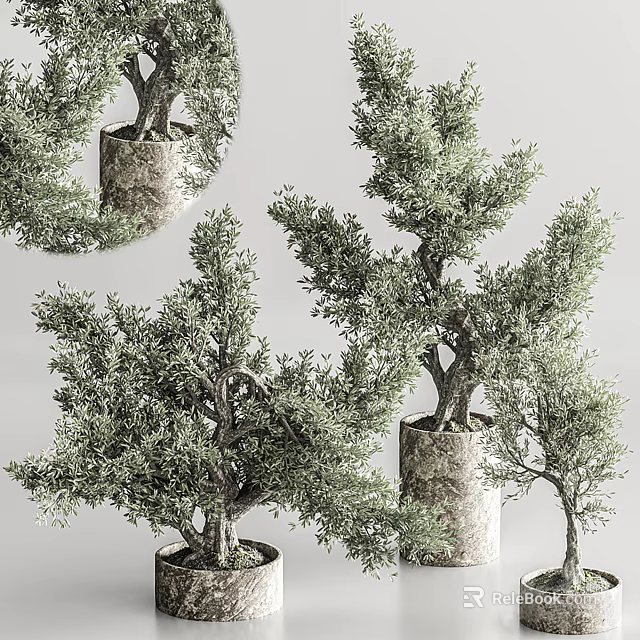 Artistic Bonsai Tree With Unique Branch Design And Lush Green Foliage In Decorative Pot 3d model 