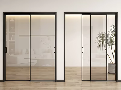 Modern Black Frame Glass Sliding Doors for Home Interior with Wooden Floor and Green Plant 3d model