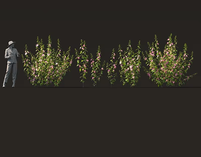 Garden Flowers and Plants Shrubs Mallow Myrtle Bonsai Sketches Clustered Landscape Clustered Green Planting 3d model