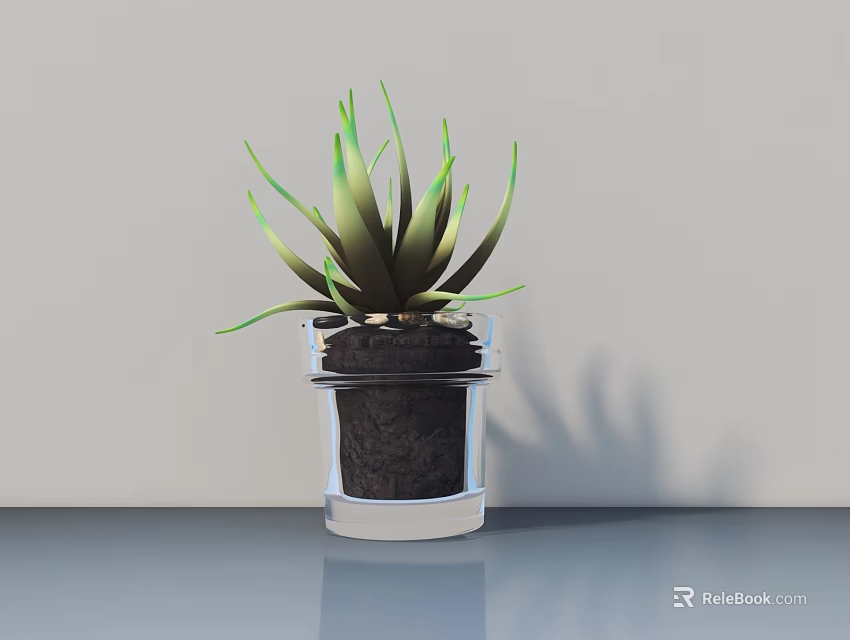 Succulent Potted Plant with Green Leaves in Transparent Glass Pot on Gray Tabletop Background 3d model 