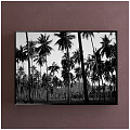 Modern Landscape Painting Black and White Study Plant Flower Plant Decorative Painting 3d model