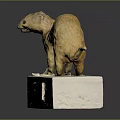 Siberian Weasel Mustela Sibirica Model Display Standing On White Base
