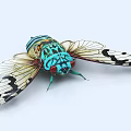 The cicada knows the insect 3d model