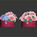 Decorative Potted Plants With Pink Flowers Purple Blue Small Blooms Green Leaves In Pink Pots