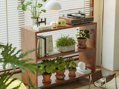 Wooden Shelving Unit With Potted Plants Books Table Lamp And Record Player In Living Room 3d model