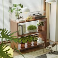 Wooden Shelving Unit With Potted Plants Books Table Lamp And Record Player In Living Room