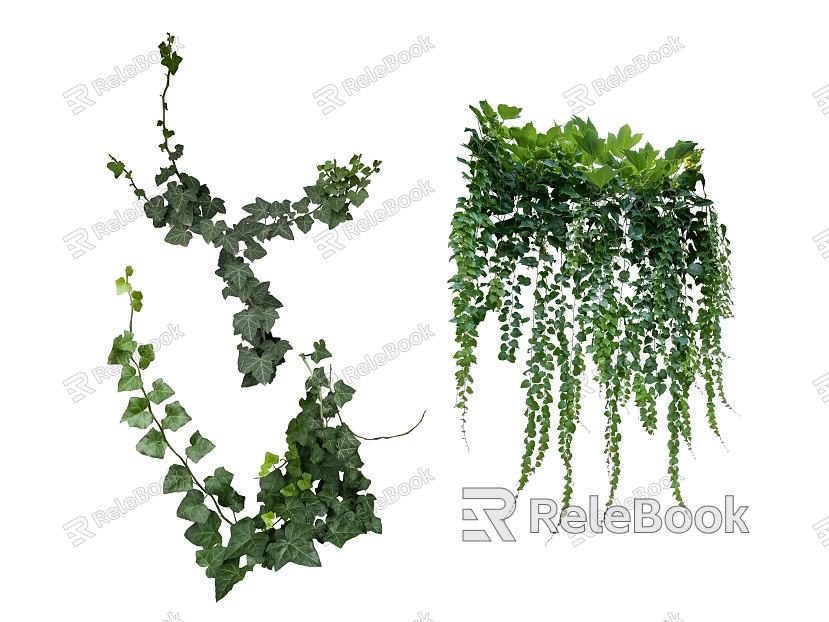 green plant leaves model