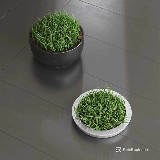 Bonsai Potted Plants with Green Grass in Black and White Containers on Indoor Floor 3d model 