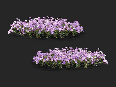 Lush Purple Flower Clusters With Fresh Green Leaves On Black Backdrop 3d model