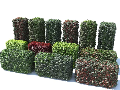 Decorative Shaped Bushes in Various Colors for Outdoor Garden Landscaping 3d model
