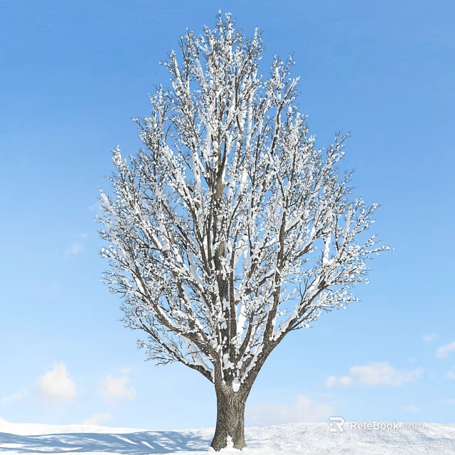 Snow Covered Tree Against Clear Blue Sky And White Clouds 3d model