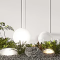 Modern Outdoor Globe Lights Hanging And Ground Lamps With Greenery And Stones