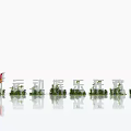 3D Text Design With Green Plants Decoration And Reflection On Clean Background