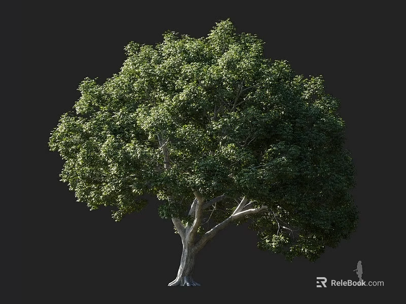 Lush Garden Arbor With Dense Green Foliage And Sturdy Trunk Structure 3d model