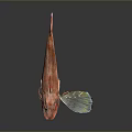 Vibrant Red Sea Fish With Distinctive Blue Fins And Sharp Facial Features On Dark Background