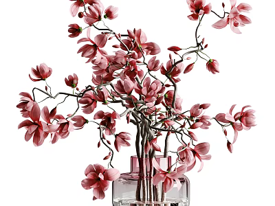 Elegant Transparent Glass Vase With Pink Blooming Magnolia Flowers And Branches 3d model