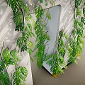 Lush Green Vines Growing On White Structure With Hanging Leaves And Small Yellow Flowers