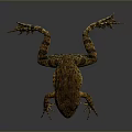 Frog Poison Frog Game Frog Reptile Cold Blooded Animal Reptile 3d model