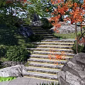 Garden Landscape Featuring Stone Steps Red Leaf Trees Rocks Green Plants And Grass 3d model