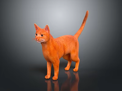 Orange Cat Standing Alert With Shiny Fur On Dark Reflective Floor 3d model