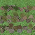 Flowers, plants, reeds, landscape, plant, stone combination, grass, plants, courtyard, flowers, plants, landscape stone 3d model