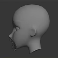 Close Up View Of White Head Model With Detailed Beard Texture 3d model