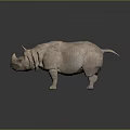 Detailed Lifelike Rhinoceros Model With Textured Skin On Dark Shiny Surface