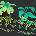 Various Green Tropical Plants With Large Leaves And Ceramic Pots