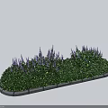Roadside Facilities With Green Plants Purple Flowers And Concrete Curb
