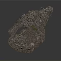 Natural Rocky Scenic Component With Scattered Stones Gravel And Small Moss
