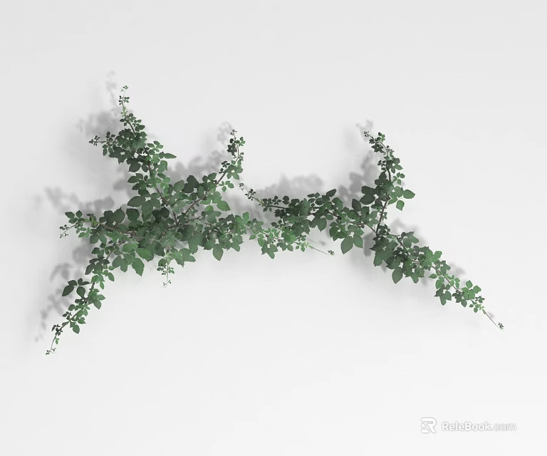 Trailing Green Vines With Lush Small Leaves For Natural Home Decor 3d model 