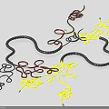 Multicolored Ropes for Daily Binding with Black Yellow Red in Tangled Placement as Living Supplies