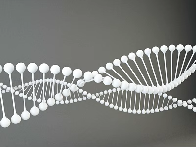 modern gene chain human anatomy gene molecule 3d model