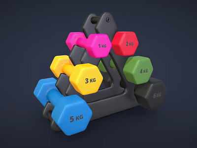 Fitness Equipment Colorful Dumbbells with Various Weights 1kg to 6kg on Black Rack 3d model