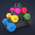 Fitness Equipment Colorful Dumbbells with Various Weights 1kg to 6kg on Black Rack