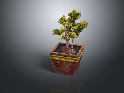 Vibrant Green Potted Plant with Lush Leaves in Square Reddish Brown Pot with Yellow Rim 3d model