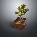 Vibrant Green Potted Plant with Lush Leaves in Square Reddish Brown Pot with Yellow Rim