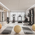 Modern Gym Home Gym 3d model