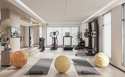 Modern Gym Home Gym 3d model