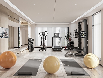 Modern Gym Home Gym 3d model