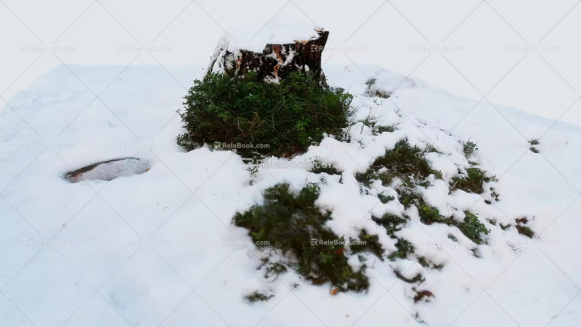 Snowscape Snowy Mountains Highlight Glacier Arctic 3d model