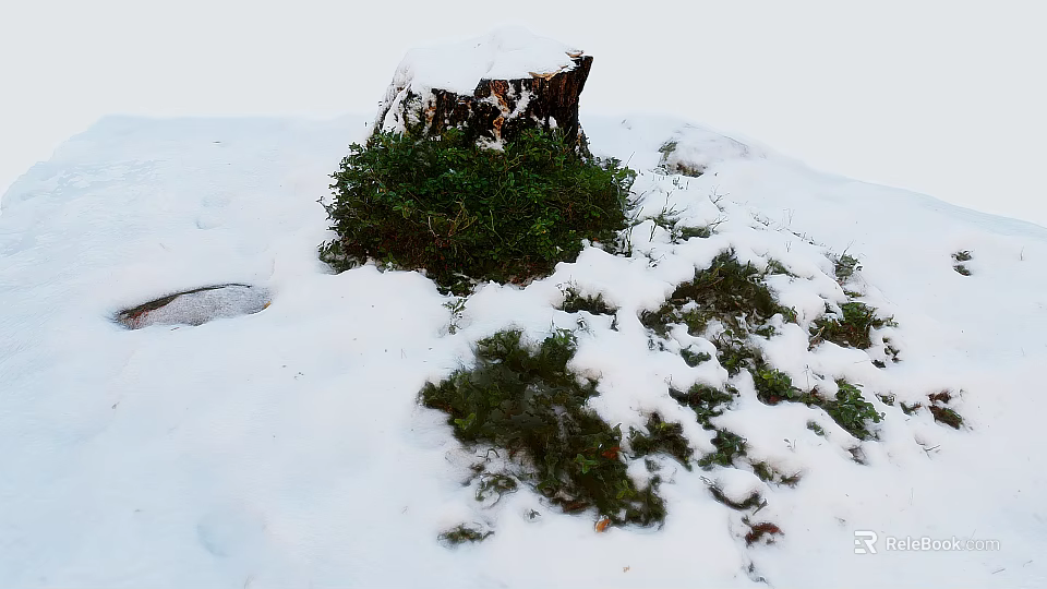 Winter Landscape With Snow Covered Tree Stump And Green Moss On Snowy Ground 3d model 