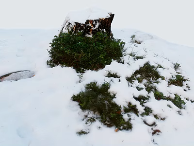 Winter Landscape With Snow Covered Tree Stump And Green Moss On Snowy Ground 3d model